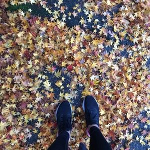 Meet your Posher, Bola